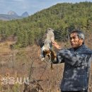 매사냥체험홍보관 이미지