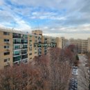 압구정-117 이미지