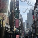 베르티니헤어 이미지