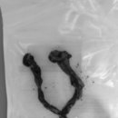 문정탑동물병원 이미지