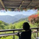 화개면 | [하동 화개면] 한국의 치앙마이 -하늘호수차밭쉼터 (부재: 평화로움의 뒷모습 주차의 난)