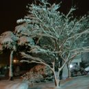 사곡1리 이미지