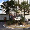 ㈜태영종합건설 | 세교데시앙포레 아파트경매 - 오산시 금암동 아파트 경매물건 2024타경95891