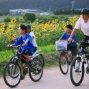 신천동로 이미지