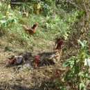 서연농장 이미지