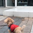 365동판교동물병원 이미지