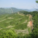 삼팔선의봄 이미지