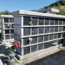 국민장례협동조합(장례묘지이장) 이미지