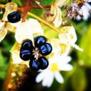 단전호흡 이미지