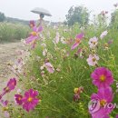 송강천 이미지