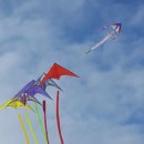 영산호관광지 이미지