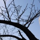 로띠번(가야점) 이미지