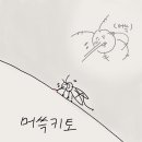 카퓌
