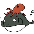 구르는 제주 이미지