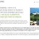 유림-5 이미지