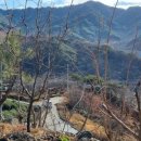 수함요새 이미지