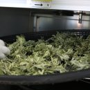 철만농장 이미지