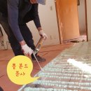 금봉산 농장 이미지