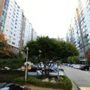 감지공인중개사사무소 이미지