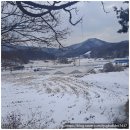 양평군 옥천면 방문요양 후기