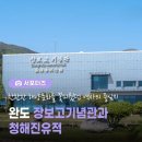 장보고 — AI시대 생각도 못한 길이 열리는 이유 | ☯️ 성수사주 주연