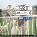 제주도 서귀포 여행 코스 아이랑 가볼만한 곳ㅣ카트 체험을 할 수 있는 목장카페 드르쿰다