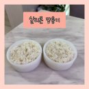 밥이든 주식회사 | [내돈내산] 다이소 실리콘 밥용기 300ml 후기: 드디어 찾은 정착템! 250ml vs 500ml 비교까지