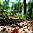 화랑태권도 이미지
