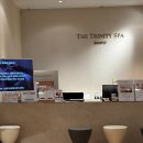 이드로 | 더 트리니티 스파 반포점, 전신 바디 관리 1회 내돈내산 후기 (홀리즘 아로마 with 끼아로 이드로)