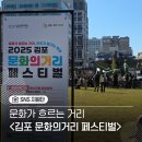 문화의 거리 공연 | 2025 김포 문화의 거리 페스티벌 후기: 문화와 활력이 넘친 가을날의 축제!