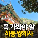 경남 | 하동 여행코스 추천 쌍계사 후기｜경남 사찰 힐링 여행지