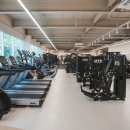 세진헬스 이미지