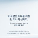 알엑스퍼트 Rxpert
