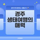 낭비성 | 경주 생태여행: 김유신 묘와 무열왕릉 탐방