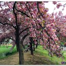 월곡역사공원 이미지