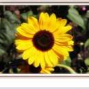 (주)연안자동차 이미지