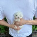 오늘이더예쁜공주