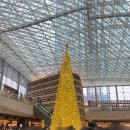 트리이비인후과의원 이미지