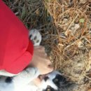 뉴백사장모텔 이미지