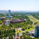 영남대학교 교원 이미지