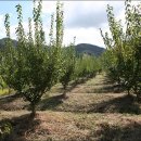 내곡농장 이미지