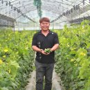 삼육사로46 이미지