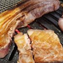 거북이동네 부산정관점 이미지