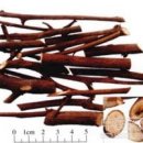 계수나무한의원 이미지