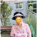 동행 애견 돌봄 센터 김포점 | 김포노인돌봄 김포 방문요양서비스 후기