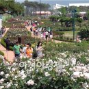 침곡농장 이미지