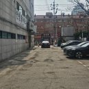 양코치 애견카페 | 수원 영통 넓고 강아지 많은 애견카페 사심채우기 성공 [양코치애견카페]