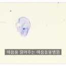 마음을읽어주는마음동물병원 네이버블로그