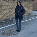 데일리 207 | 테누브 하프 코트 + 티에드 백 후기 | 겨울 데일리룩 추천