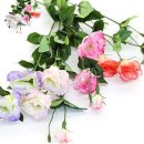 뉴매직크린 이미지